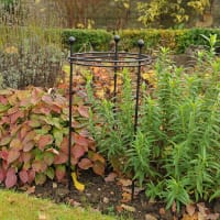 Växtstöd Circular 60x30 cm, svart